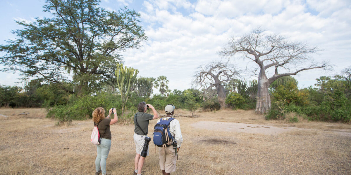 Are Professional Birding Guides Available for Kenya and Tanzania Safaris?