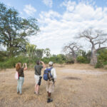 Are Professional Birding Guides Available for Kenya and Tanzania Safaris?