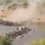 Are River Crossings Guaranteed?