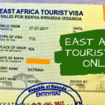 Are Visas Required for Tanzania and Kenya?