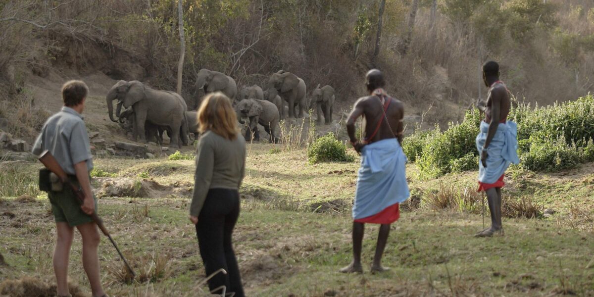 Are Walking Safaris Available in Kenya & Tanzania