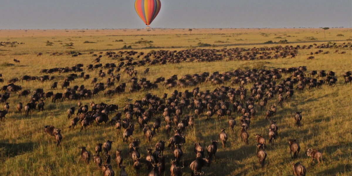 Are balloon safaris available during the Great Migration