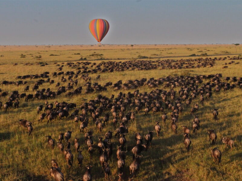 Are balloon safaris available during the Great Migration