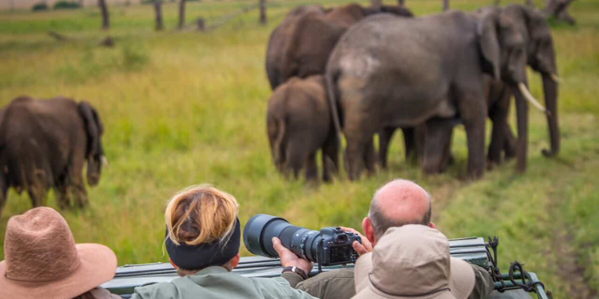 Are luxury safari options available