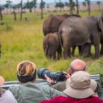 Are luxury safari options available