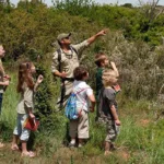 Can Children Participate in Safaris?