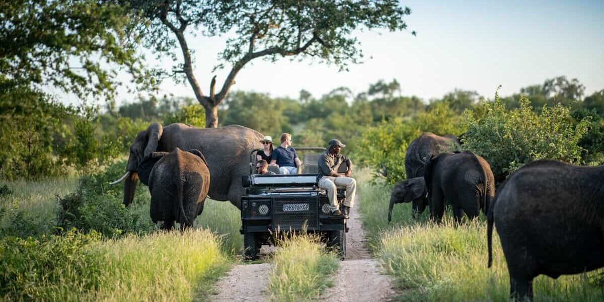 Can birding safaris be combined with wildlife game drives
