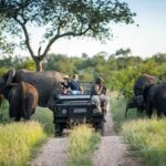 Can birding safaris be combined with wildlife game drives