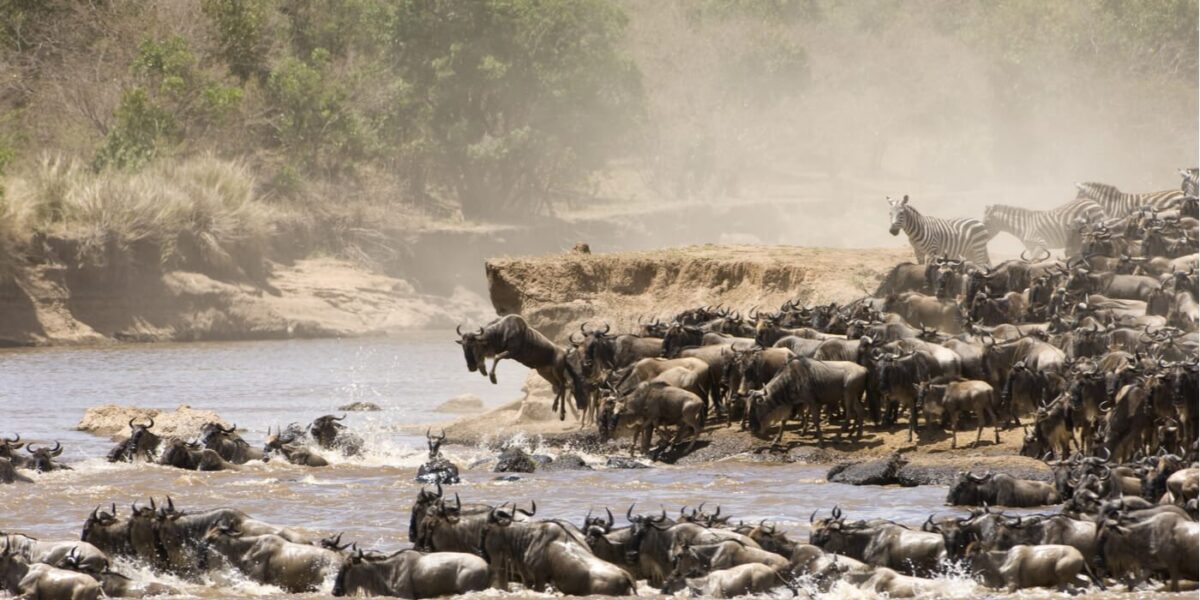 Do Birders Need a Private Guide for the Great Migration Experience?