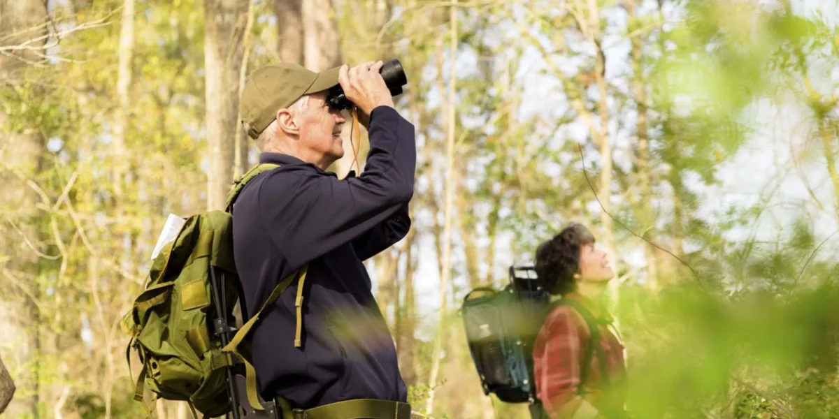 Can Beginners Join Birding Tours?