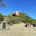 Do Hiking Safaris in Kenya and Tanzania Include Camping?