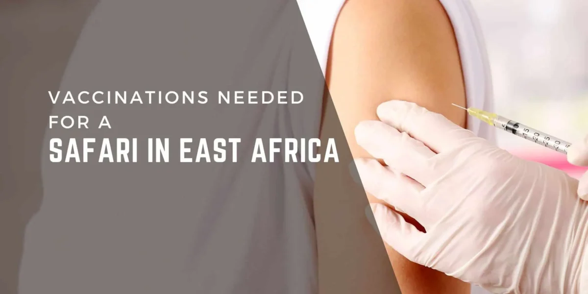 Do I Need Malaria Medication for Tanzania or Kenya Safaris?