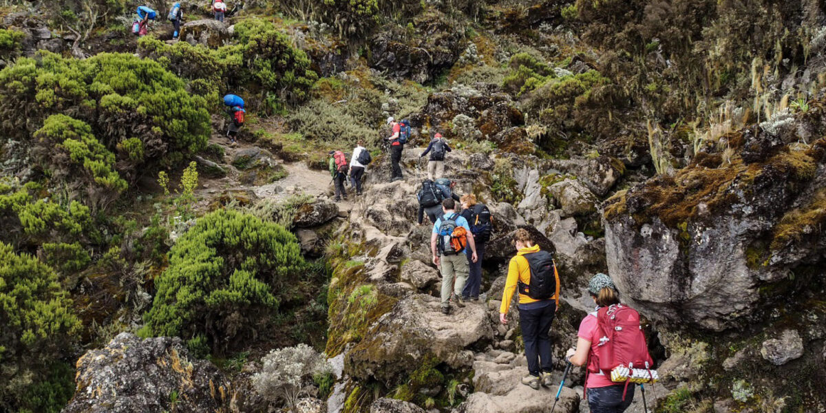 How Long is a Typical Trekking Tour in Kenya and Tanzania