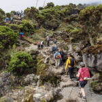 How Long is a Typical Trekking Tour in Kenya and Tanzania
