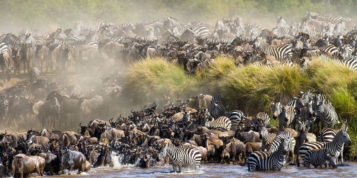 Great Migration