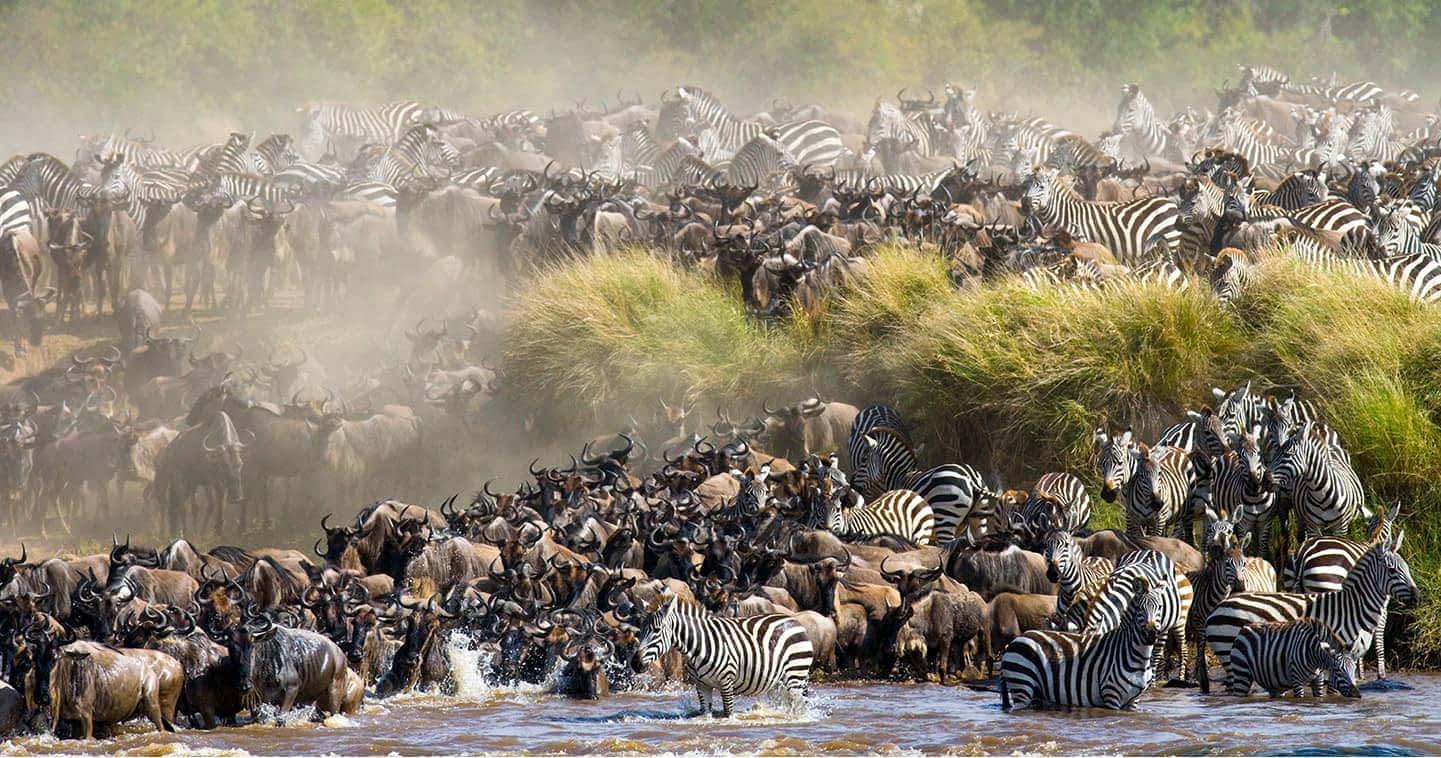 Serengeti Safari in December