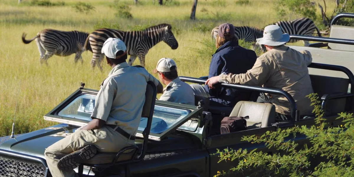 Is the Great Migration Suitable for Family Safaris?
