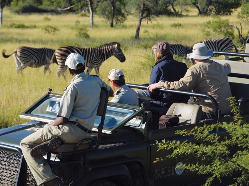 Is the Great Migration Suitable for Family Safaris?