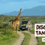 What Is the Best Time to Visit East Africa for a Tanzania or Kenya Safari?