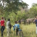 What Should I Know About Tipping on Kenya-Tanzania Safari?