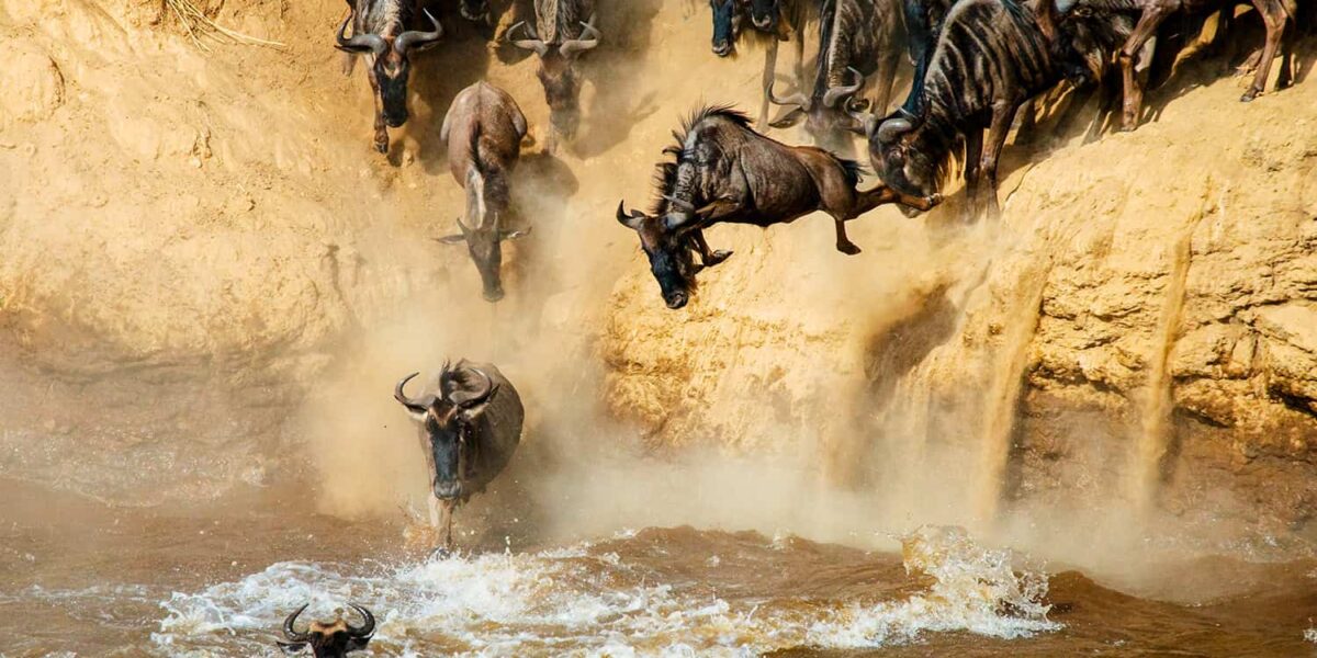What is the Best Month to Witness the Mara River Crossing?