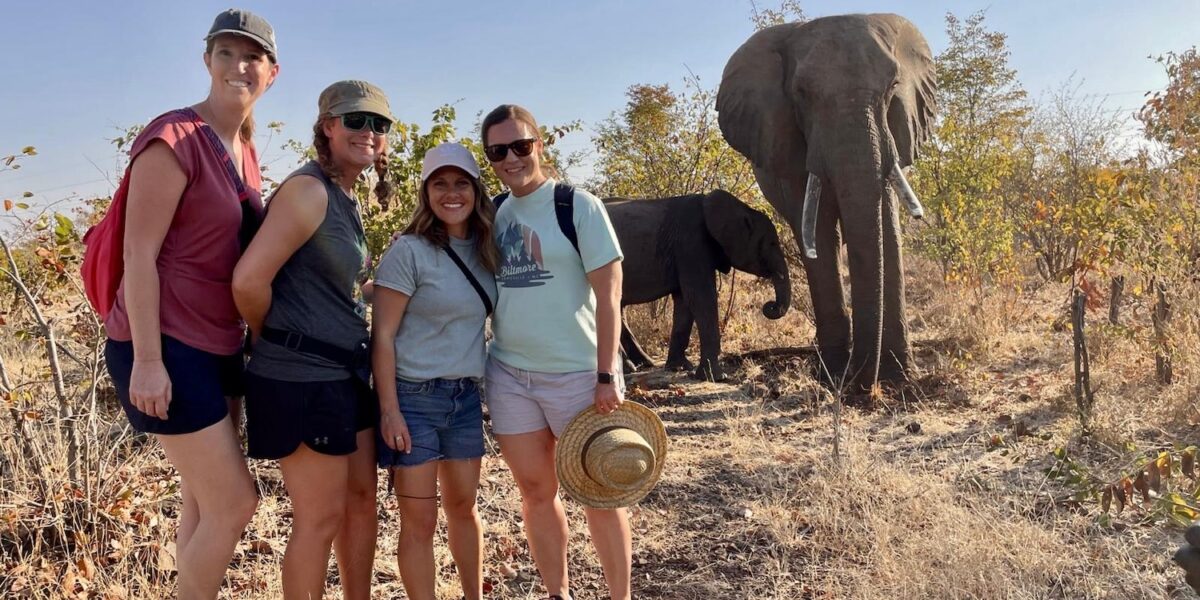 What’s the difference between private and group safaris