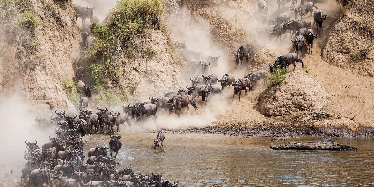 How Long Does the Mara River Crossings Last?