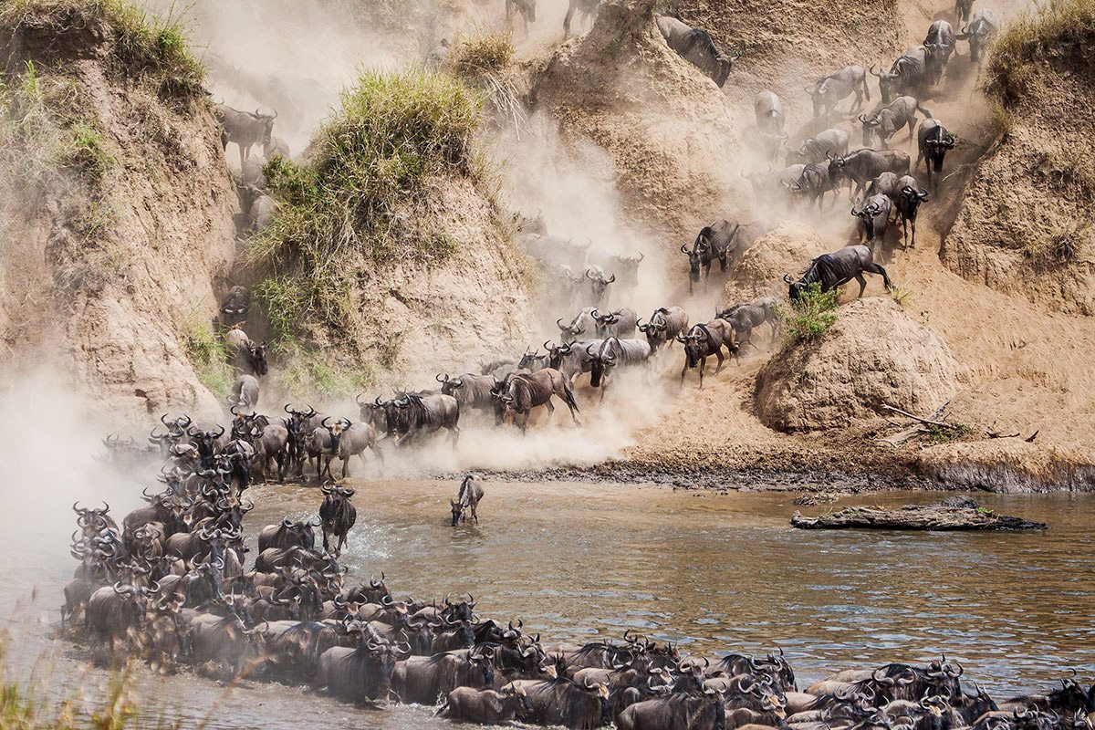 How Long Does the Mara River Crossings Last?