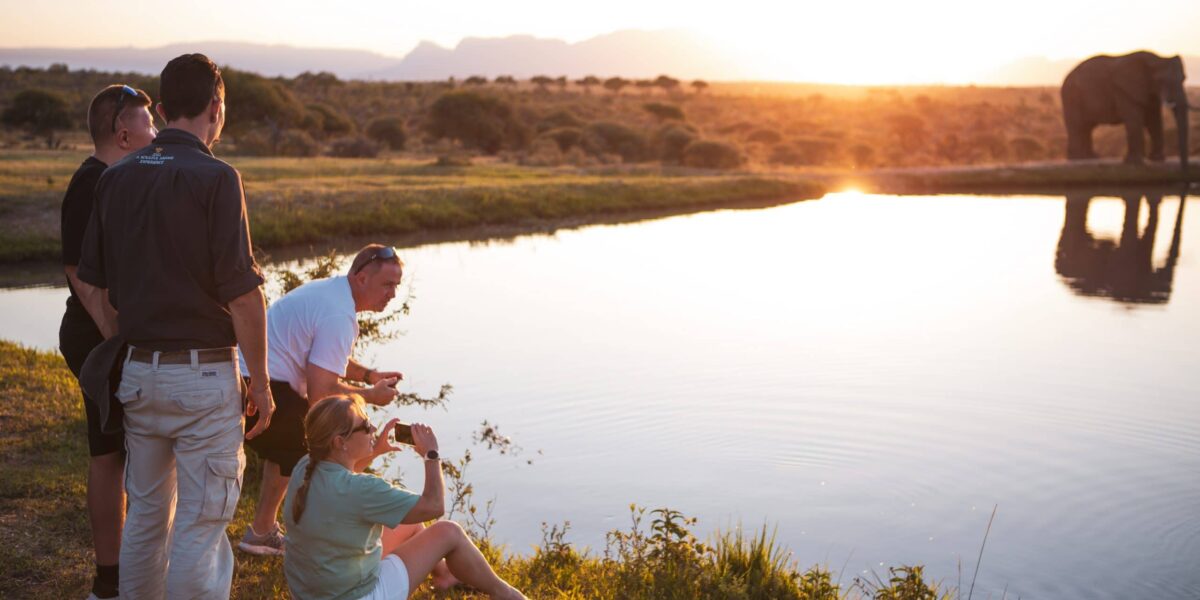 Can Safaris Be Canceled Due to Weather