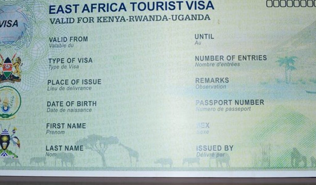 Do I Need a Visa to Visit Kenya for a Safari?