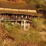 How Far Are Lodges from Wildlife Areas