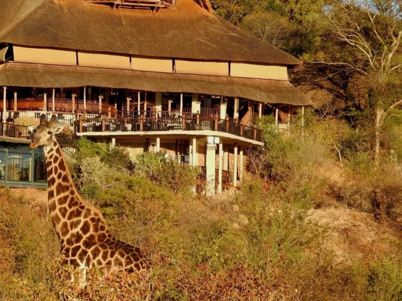 How Far Are Lodges from Wildlife Areas