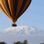 How High Do Balloons Fly on a Safari