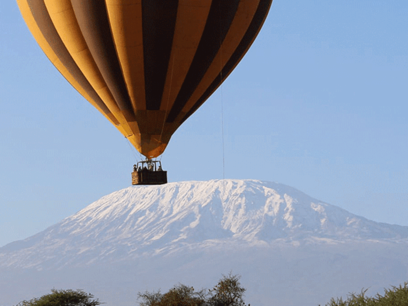 How High Do Balloons Fly on a Safari