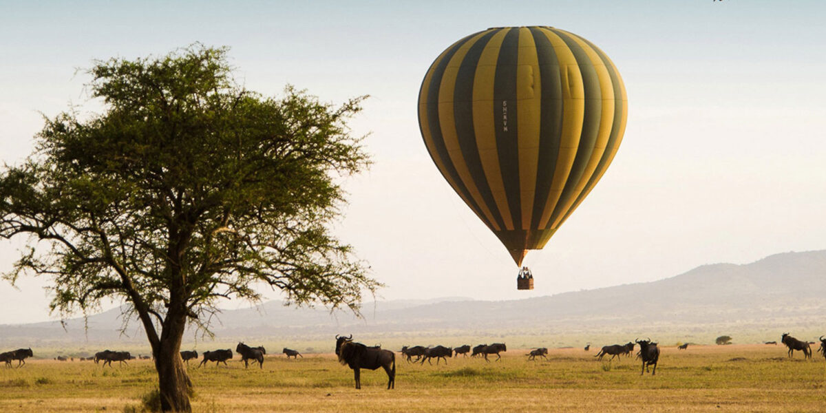 How long does a balloon Safari ride last?