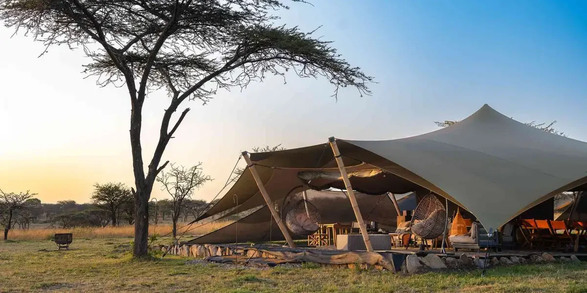 What Is the Difference Between Lodges, Camps, and Hotels?