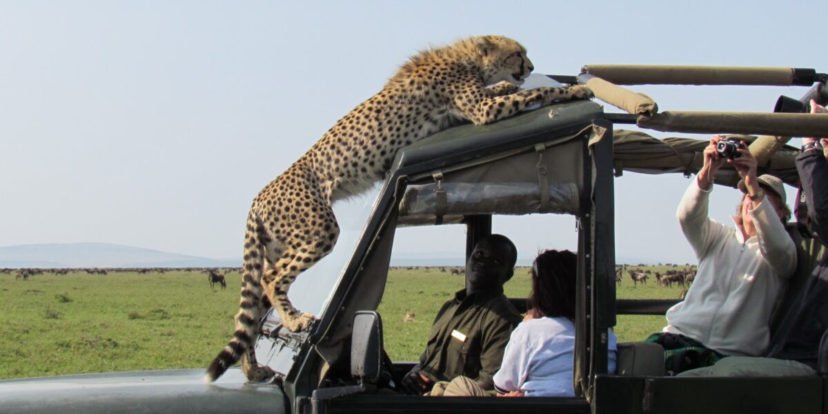 Are Guides Included in Wildlife Safari Packages?