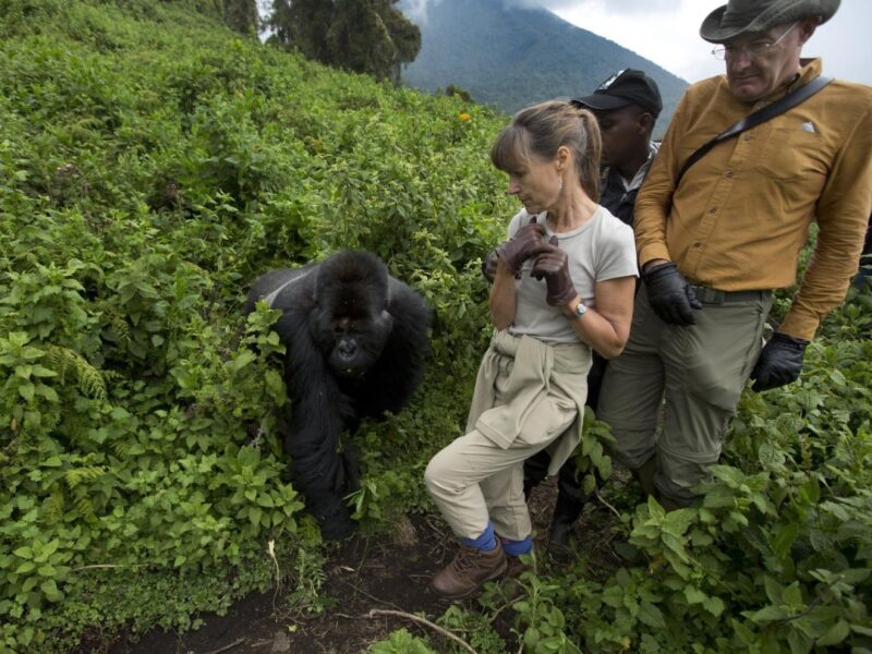 10 To Do Things in Uganda
