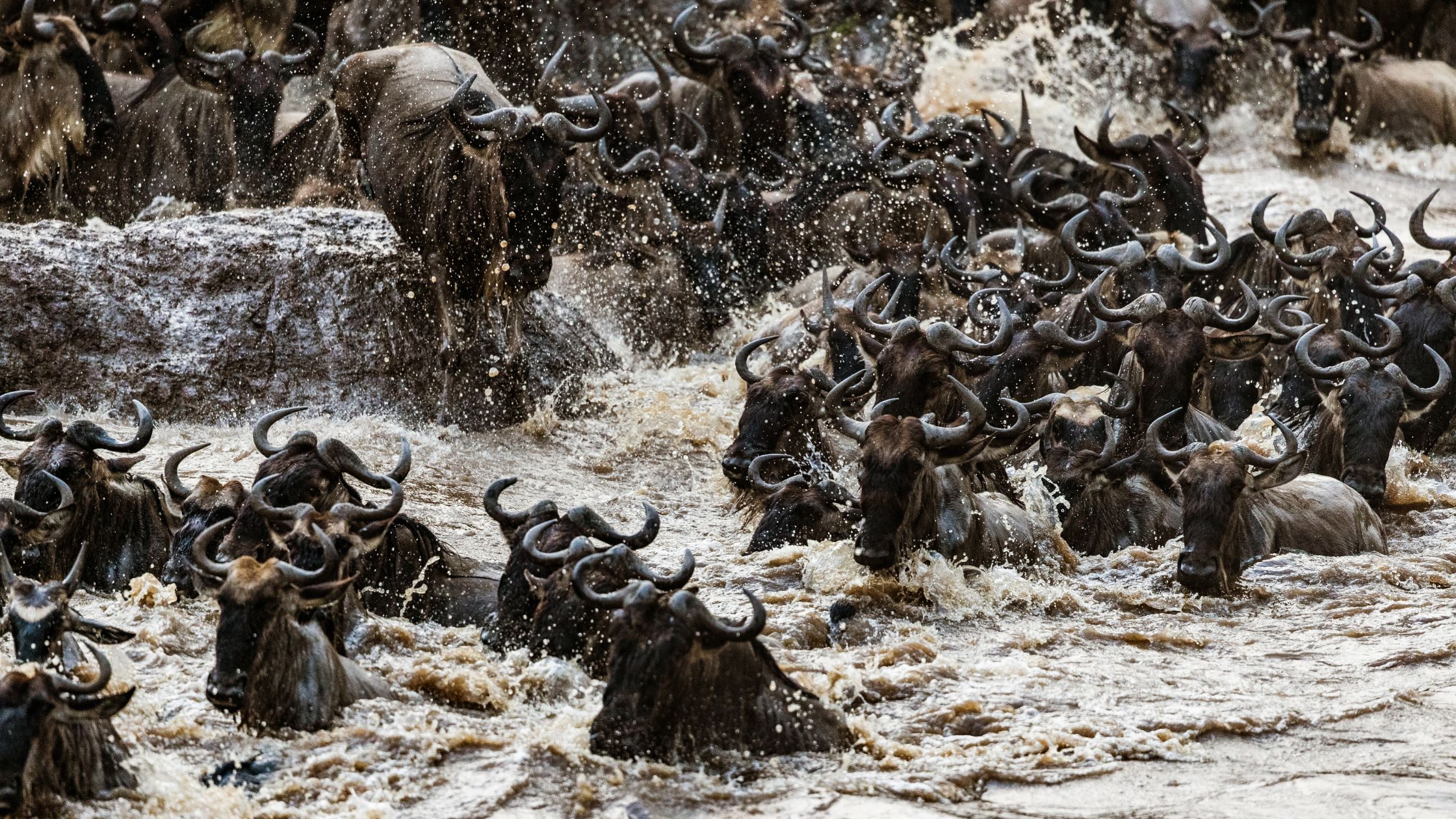 Serengeti Safari in March