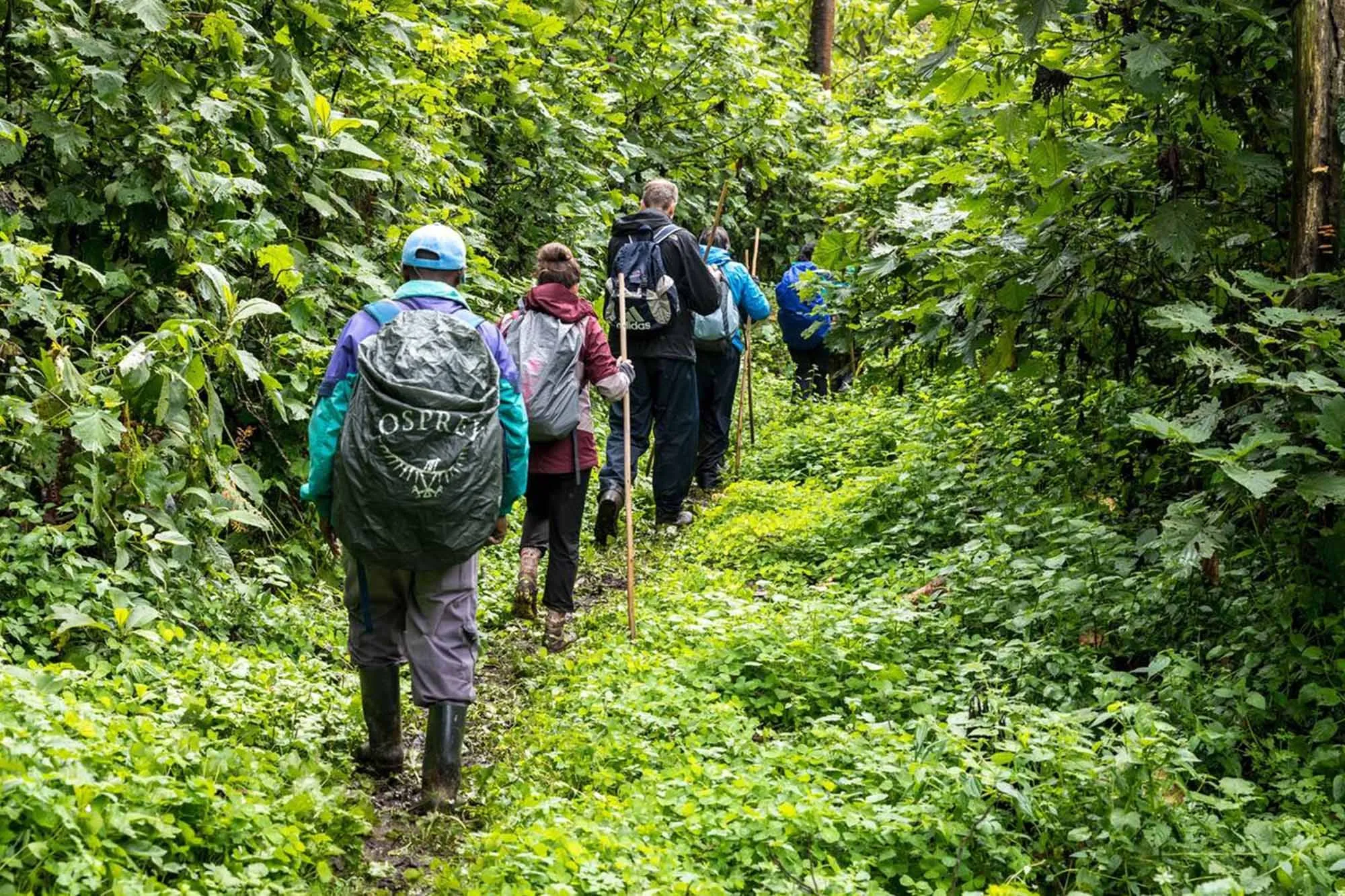 Gorilla Trekking Packing List