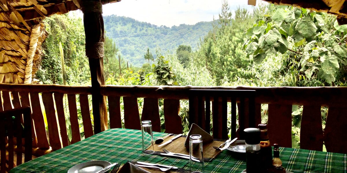 Broadbill Forest Camp