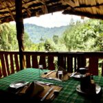 Broadbill Forest Camp