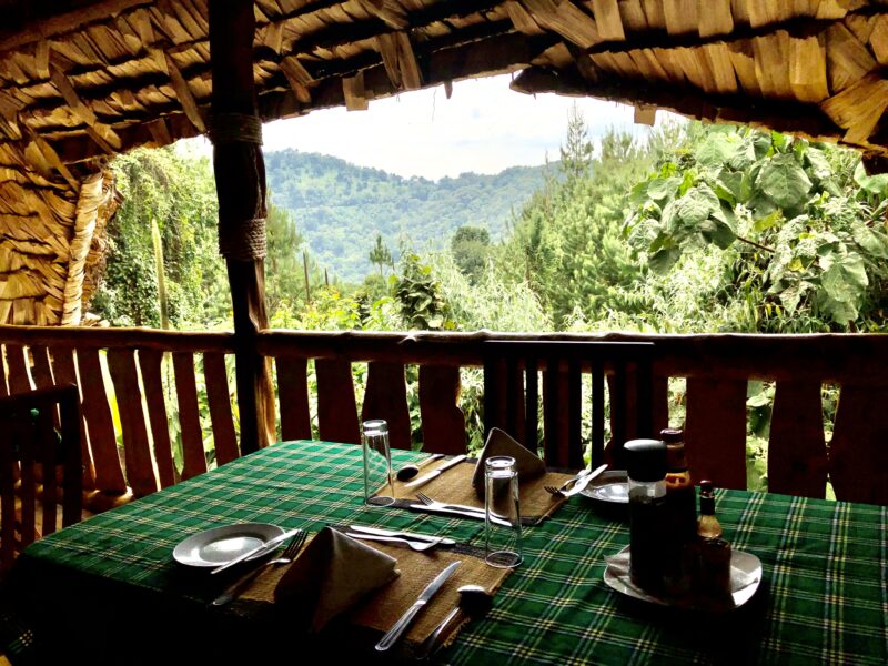 Broadbill Forest Camp