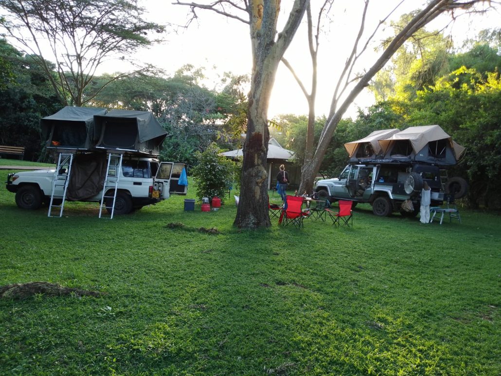 Night Game Drives in Uganda: What to Expect