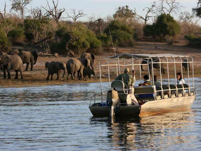 Boat Safari in Nyerere National Park