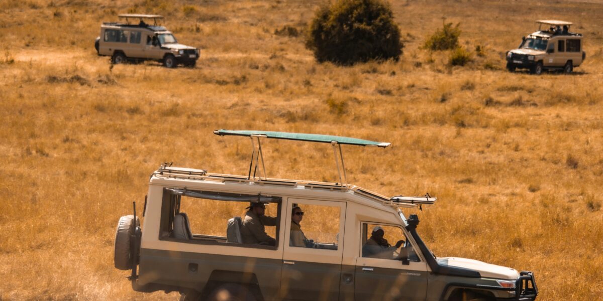 Masai Mara vs Serengeti – Which Park Should You Choose?