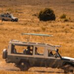 Masai Mara vs Serengeti – Which Park Should You Choose?