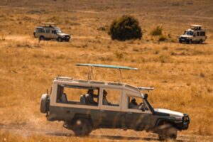 Self-Drive vs Guided Uganda Safari: Which Is Right for You?