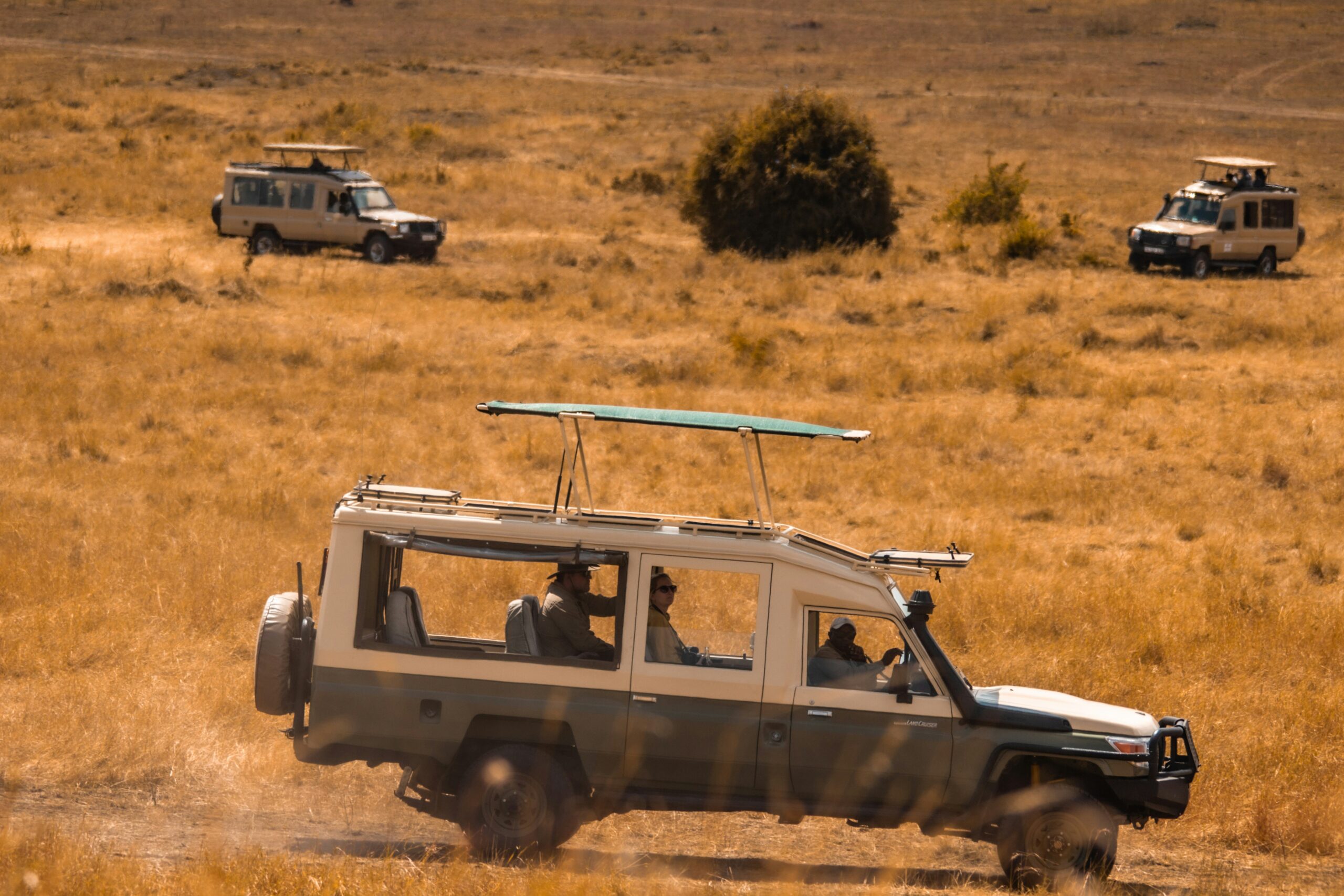 Self-Drive vs Guided Uganda Safari: Which Is Right for You?