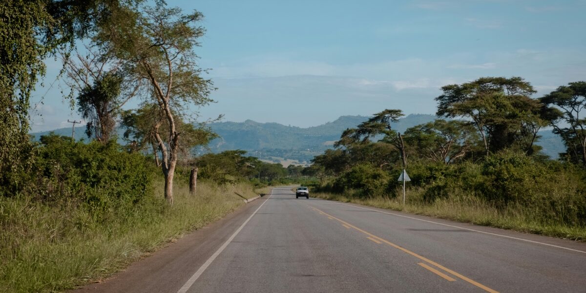 Luxury Uganda Safari: Is It Worth the Price?